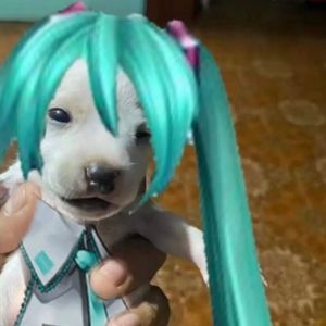 Meet your Posher, Hyun